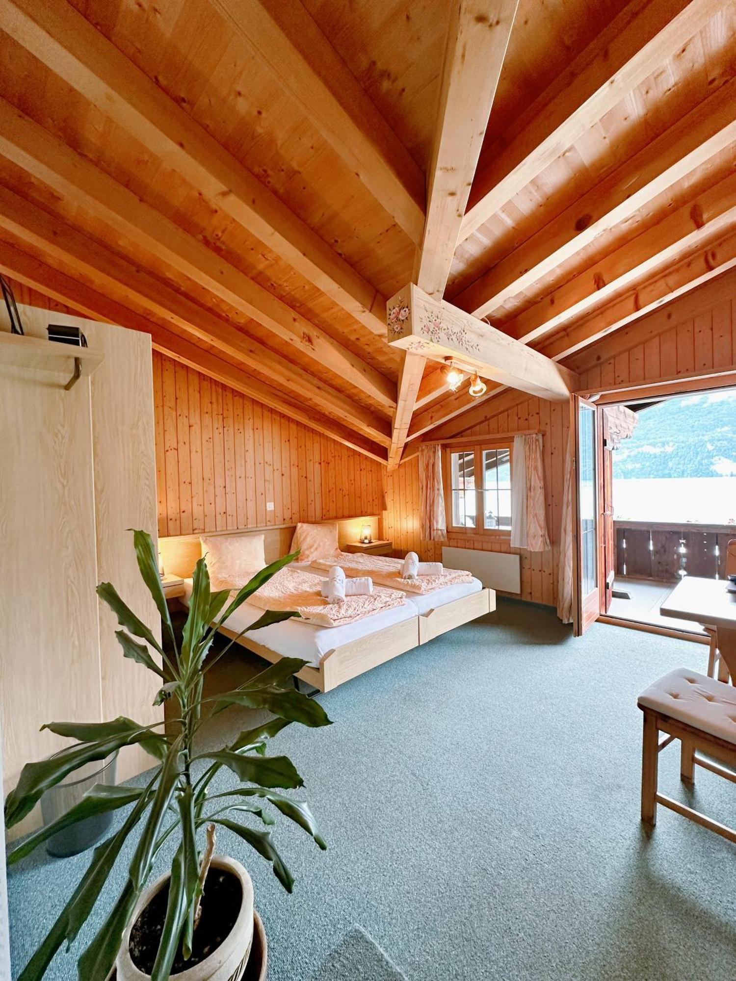 Hotel Wildbach Brienz 布里恩茨 外观 照片