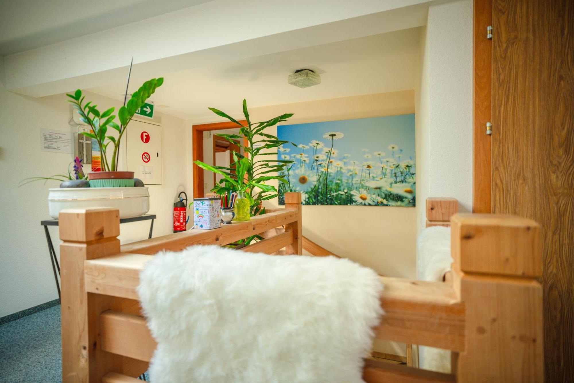 Hotel Wildbach Brienz 布里恩茨 外观 照片