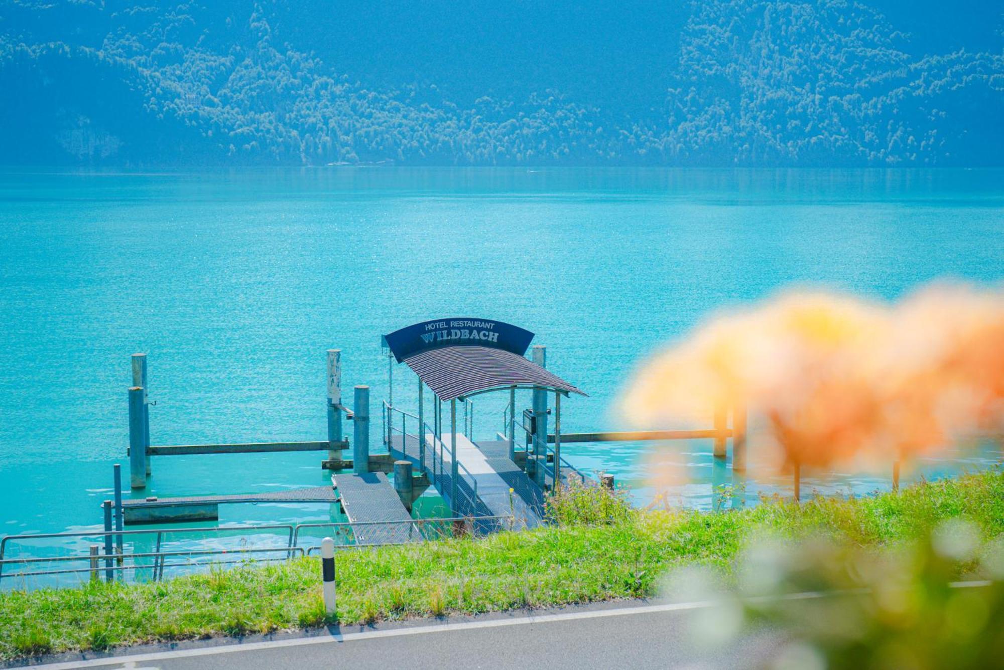 Hotel Wildbach Brienz 布里恩茨 外观 照片