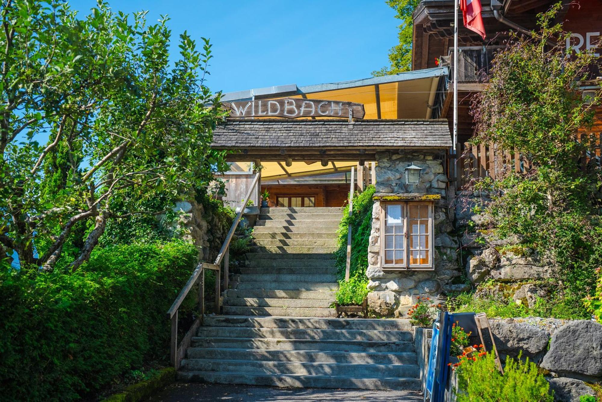 Hotel Wildbach Brienz 布里恩茨 外观 照片